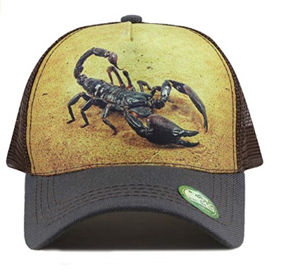scorpion hat